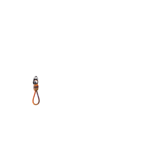 Charm カーニバルマルチ